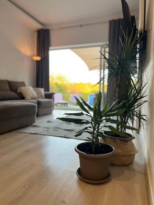 Quinta Da Alfarrobeira Peaceful Countryside Stay Distrikt Distrikt Faro Exterior foto