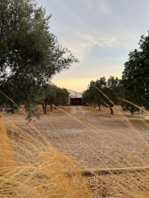 Quinta Da Alfarrobeira Peaceful Countryside Stay Distrikt Distrikt Faro Exterior foto